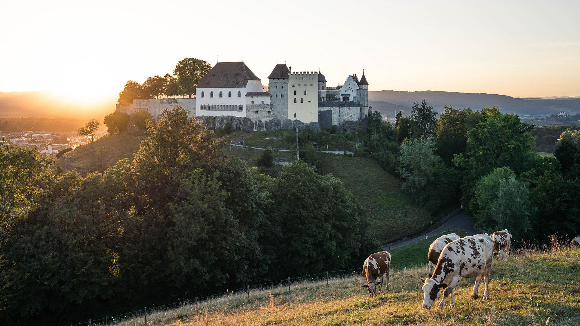 Sanierung Schloss Lenzburg Tschudin Urech Bolt Architekten